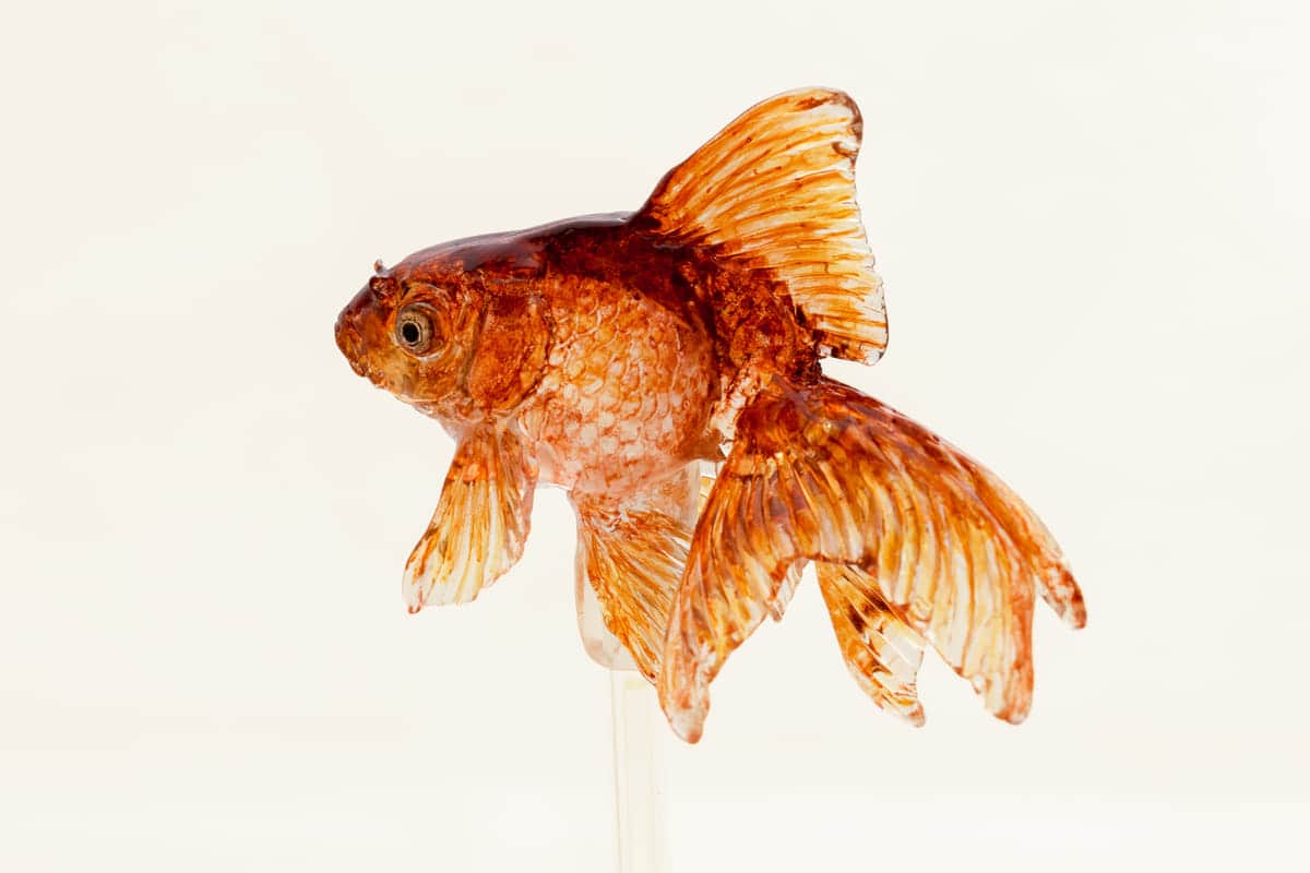 “金魚鉢付き”の『金魚ソーダ』が気になる！金魚づくしのイベント『東京金魚ワンダーランド』ってなに？