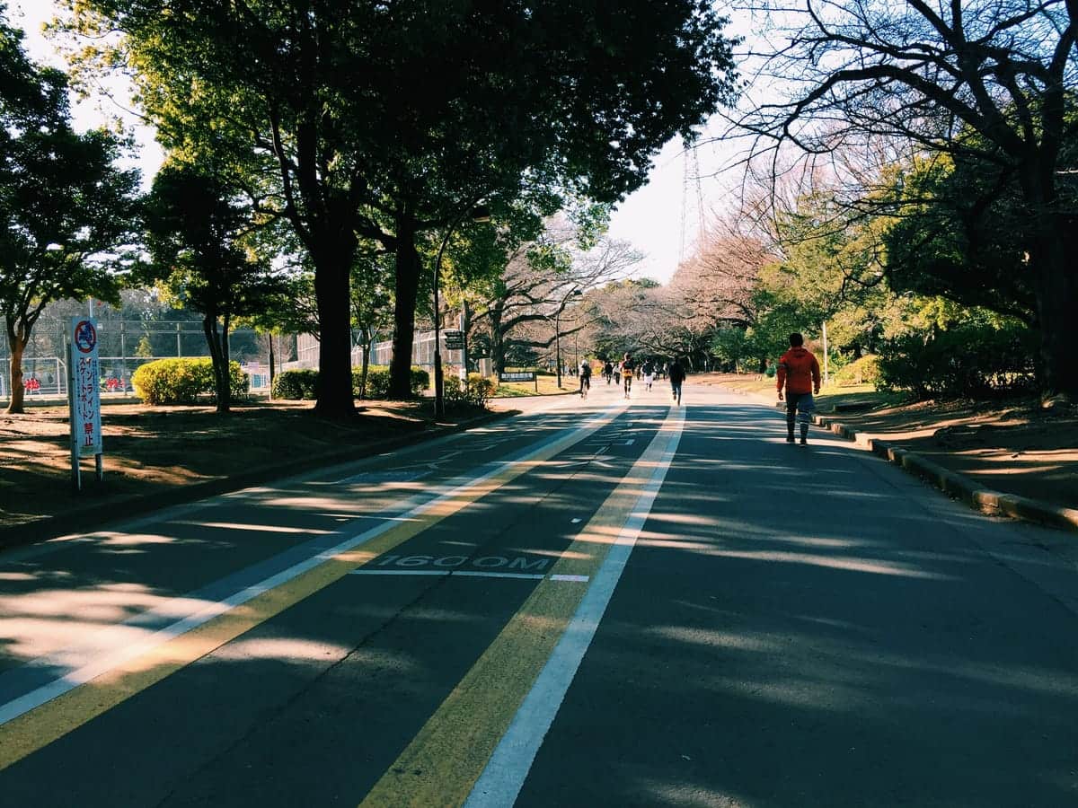 “皆とちょっと違う”を狙うサッカニーボーイ・サッカニーガールが走る駒沢公園 “皆とちょっと違う”を狙うサッカニーボーイ・サッカニーガールが走る駒沢公園