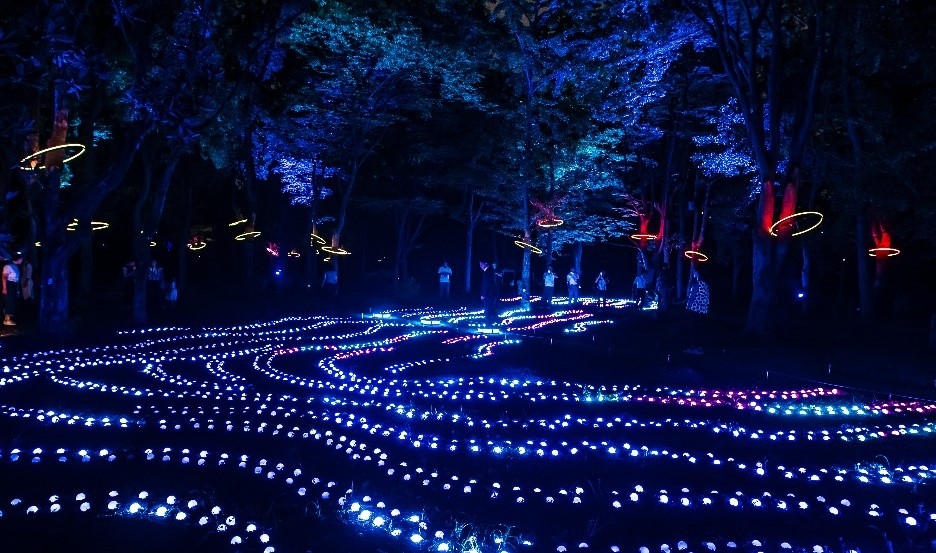 体験型ナイトウォーク『サクヤルミナ』 大阪城公園は夜、魔法がかかる！？
