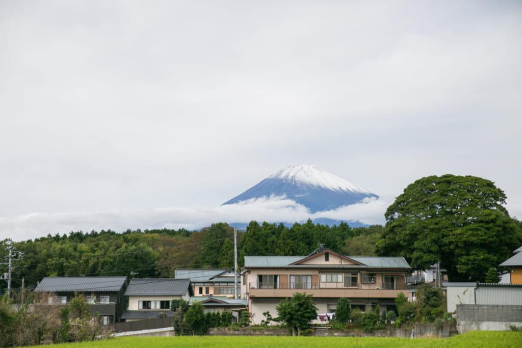 富士山のふもとでロゲイニング、家族や仲間と楽しむ『TRAIL-JAM』