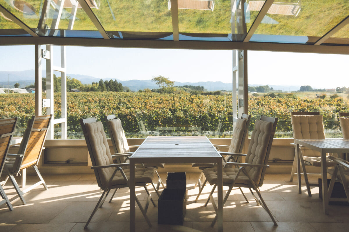 飲まないワイン醸造家──それでも人生を熟成させた理由【ピノ・コリーナ松ヶ丘】 飲まないワイン醸造家──それでも人生を熟成させた理由【ピノ・コリーナ松ヶ丘】