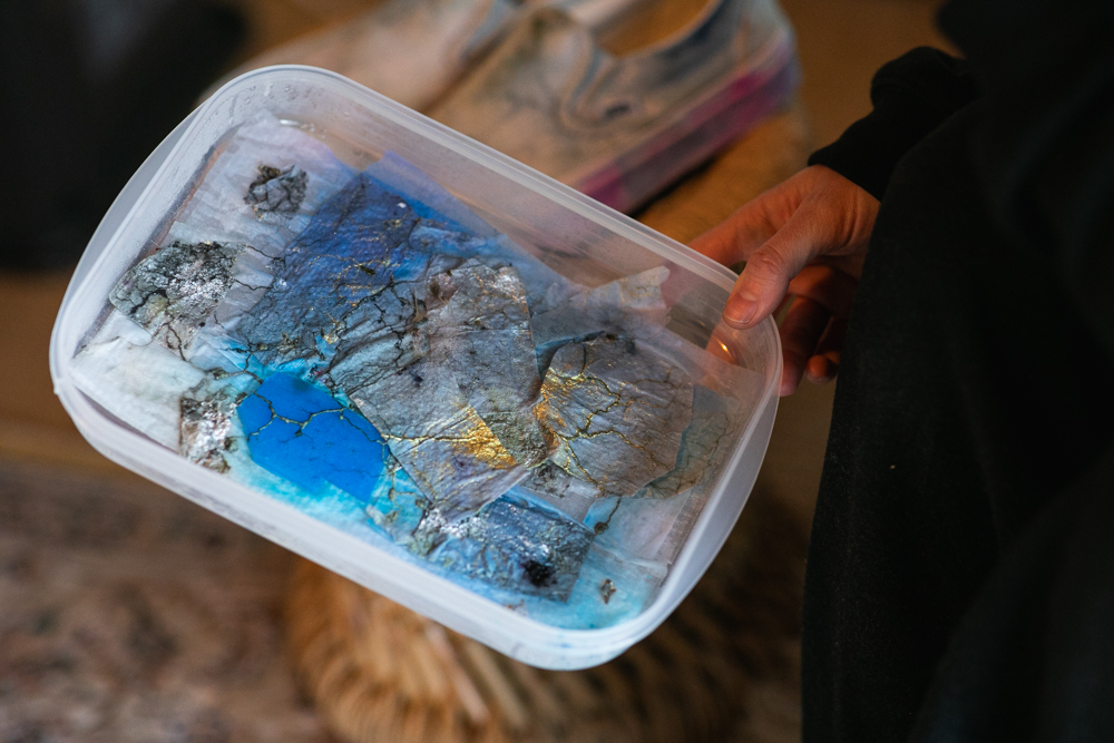 「生き物と生きる時間そのものがアート」粘菌で彩るヴァンズ「スリッポン」【バイオアーティスト・齋藤帆奈さん】 「生き物と生きる時間そのものがアート」粘菌で彩るヴァンズ「スリッポン」【バイオアーティスト・齋藤帆奈さん】