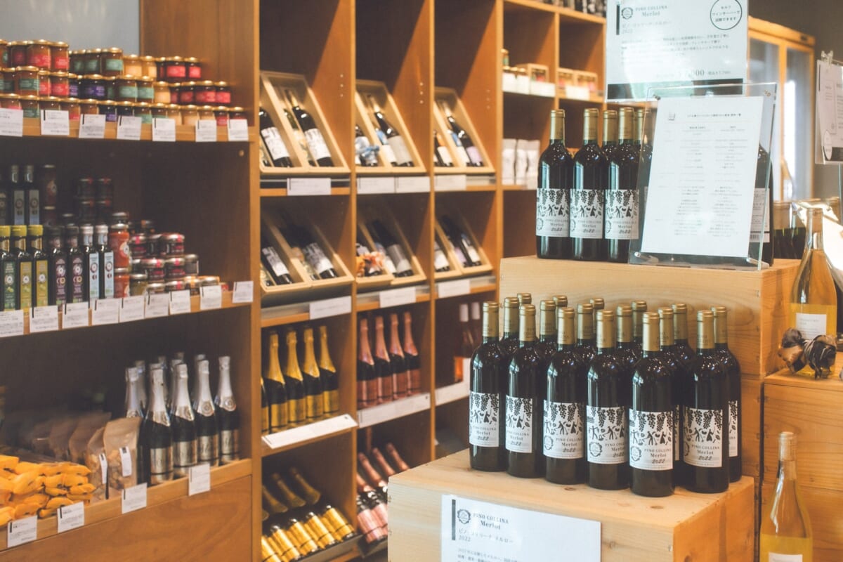 飲まないワイン醸造家──それでも人生を熟成させた理由【ピノ・コリーナ松ヶ丘】 飲まないワイン醸造家──それでも人生を熟成させた理由【ピノ・コリーナ松ヶ丘】