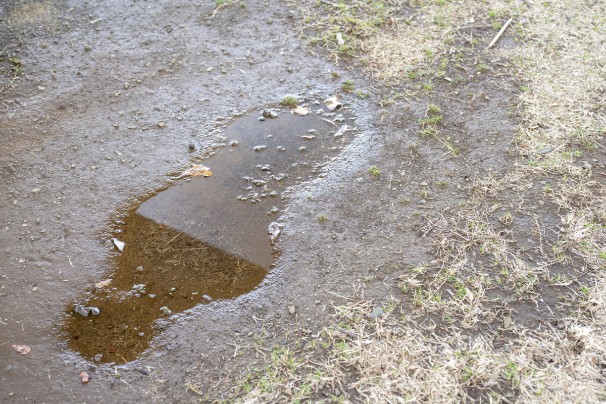 【フジロック用の靴選び】大雨や泥道も安心！ 野外フェスを快適に楽しむポイント